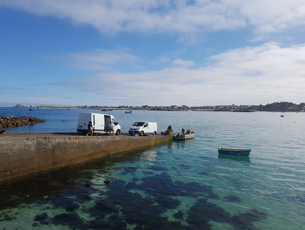 Was ich liebe … | Fotos "unter "Wer dich unterrichtet" im Menüpunkt WER WIE WAS von www.feldenkrais-stunden. de | Das Foto zeigt ein Fischerboot in der Bretagne.| Foto© Claudia Kühne